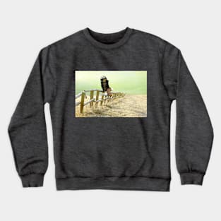 The Bald Eagle is Landing Crewneck Sweatshirt